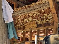 AlpenX-2025 Tag04-65 : AlpenX2025 Allgäu, MTB, Transalp