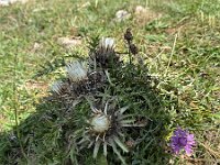 AlpenX-2025 Tag08-23 : AlpenX2025 Allgäu, MTB, Transalp