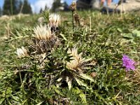 AlpenX-2025 Tag08-26 : AlpenX2025 Allgäu, MTB, Transalp